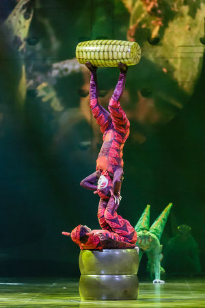 Cirque du Soleil OVO. Pictures by: Chris Bowley