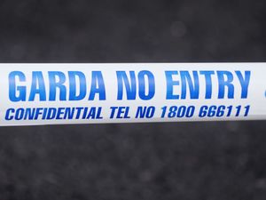 Supporting image for story: One dead in Waterford plane crash