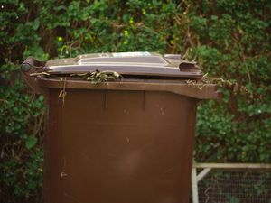 Credit walsall council 
Permission for use for LDR partners 