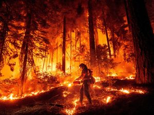 Supporting image for story: Huge California wildfire burns through timber in hot and dry weather