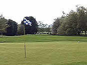 Supporting image for story: How easy is it to hit a hole in one?