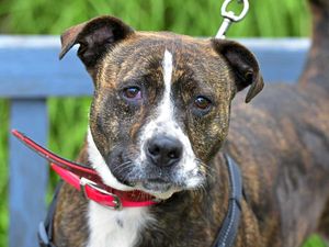 At the centre for two years – Roxy