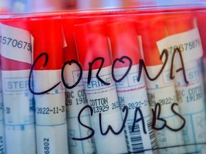 Supporting image for story: Coronavirus crisis updates: Schools preparing to shut down indefinitely 
