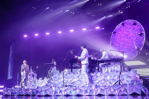 Paloma Faith at the Genting Arena in Birmingham. Pic: Chris Bowley