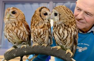 Supporting image for story