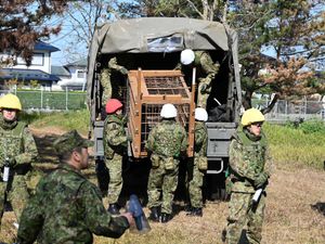 Supporting image for story: Japan sends troops to northern region to help stop bear attacks