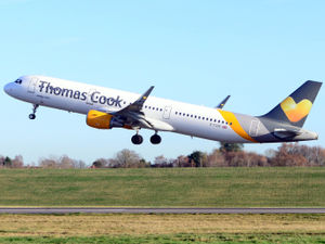 Supporting image for story: Wolves owner Fosun 'interested in Thomas Cook takeover'