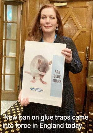 Jane Stevenson said the new bill was a part of her legacy from her time in Parliament