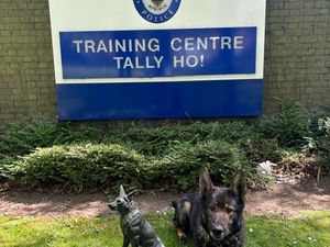 PD Archer is all ready to put his paws up and enjoy his retirement