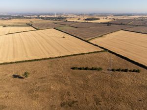 Supporting image for story: Drought declared for parts of England after driest summer for 50 years