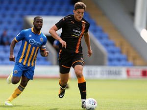 Supporting image for story: Wolves forward Michal Zyro may be loaned out