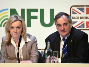 Supporting image for story: Summit warning on home grown food