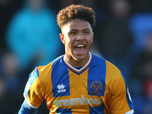 Supporting image for story: Paul Hurst interested in bringing West Bromwich Albion's Tyler Roberts back to Shrewsbury 