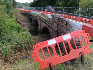 Supporting image for story: 'Rabbit Run' reopens after three months