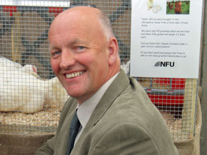 Supporting image for story: Craven Arms poultry farmer welcomes relaxing of bird flu restrictions