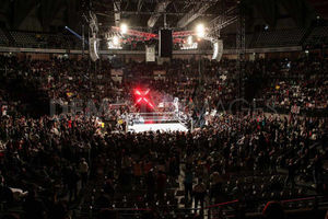 Supporting image for story: WWE is back with a bang at Birmingham LG