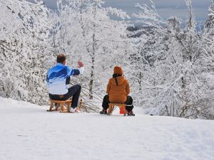 Supporting image for story: Peter Rhodes on sledges, moving house and the best Christmas present of all