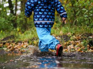 Supporting image for story: Keep rainy day boredom at bay with these top 10 indoor Shropshire attractions