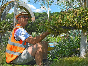 Supporting image for story: Sky snaps inspire RHS show garden