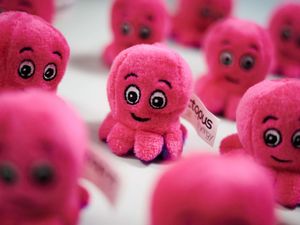 Supporting image for story: Warm weather hit sees Octopus slump to annual loss