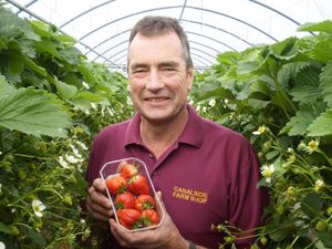 Supporting image for story: How our farms are ploughing on through Covid-19 crisis