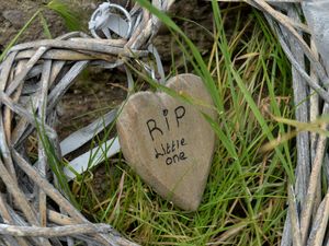 Supporting image for story: Walsall baby death: £5,000 reward offered as death of newborn found in canal treated as murder