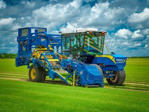 Turf Harvester Processing Turf Rolls