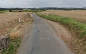 A lane from the A41 to the farm business will now have official passing places. Picture: Google Maps