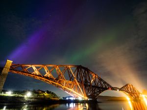 Supporting image for story: In Pictures: Northern lights, Taylor Swift and a frozen troot – Scotland in 2024