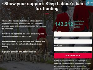 Supporting image for story: Fighting for votes over fox hunting row
