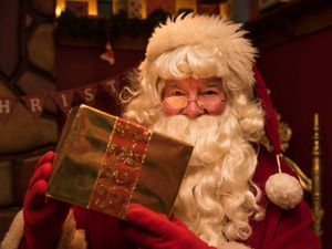 Supporting image for story: West Midland Safari search for new Santa team