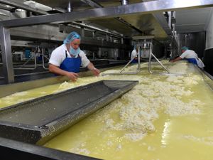 Supporting image for story: The wonder of Shropshire cheese
