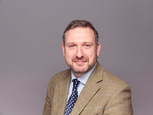 Supporting image for story: How to pivot your farming business to deal with loss of BPS