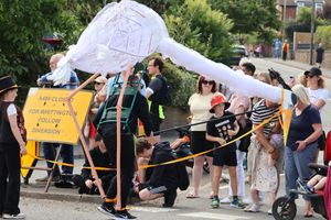 A long-legged and long-necked bird looks the part in Nike trainers. Pictures: Sue Austin