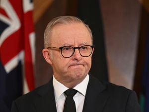 Supporting image for story: Albanese set to return as Australian PM, early vote counting suggests