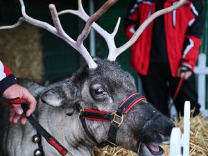 Supporting image for story: Local business delights Bridgnorth with Christmas open event