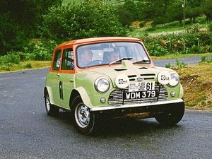 Supporting image for story: Peter Rhodes: Try kissing leeches?