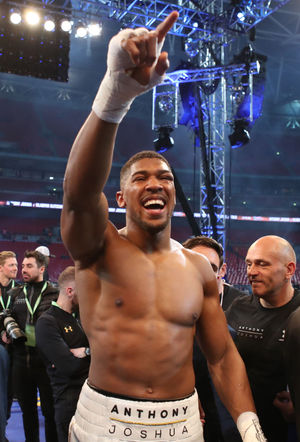Anthony Joshua after his world title fight against Wladimir Klitschko