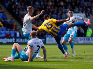 Supporting image for story: Shrewsbury scoreline only downside to memorable Meadow return 