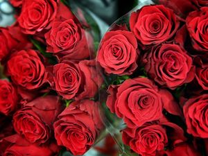 Supporting image for story: Retired widower to look for love on new dating show The Golden Bachelor