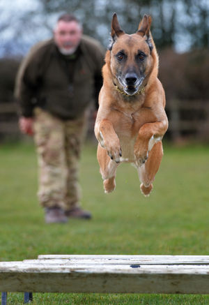 John Fitzpatrick at Cosford Dog Training