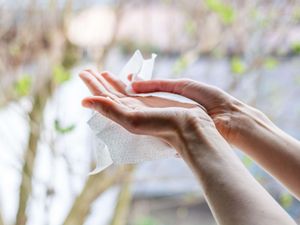 Supporting image for story: Wet wipe warning: Life-threatening bacteria detected in UK wet wipes leaving one dead