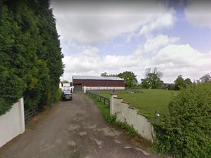 Supporting image for story: Animal cruelty concerns over Staffordshire turkey farm plan