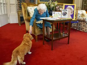 Supporting image for story: Corgi owners say community has ‘lost part of our world’ with Queen’s death