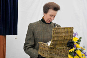 The princess with her gift of vintage cheese