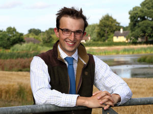 Supporting image for story: Managing the risk of those tree dangers