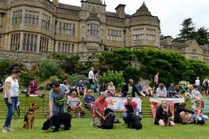 Supporting image for story: Ludlow Dog Day set to return