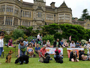 Supporting image for story: Ludlow Dog Day set to return