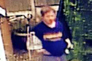 Supporting image for story: Facebook users help catch Telford thief after CCTV posted