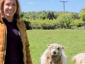 Supporting image for story: North Shropshire MP criticised for food standards 'no' vote